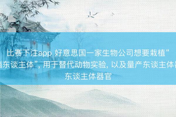 比赛下注app 好意思国一家生物公司想要栽植“无脑东谈主体”, 用于替代动物实验, 以及量产东谈主体器官