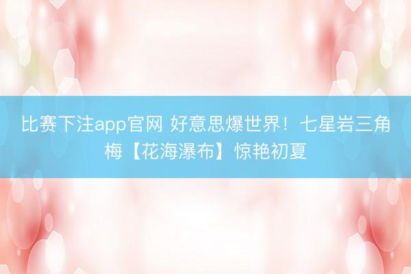比赛下注app官网 好意思爆世界！七星岩三角梅【花海瀑布】惊艳初夏